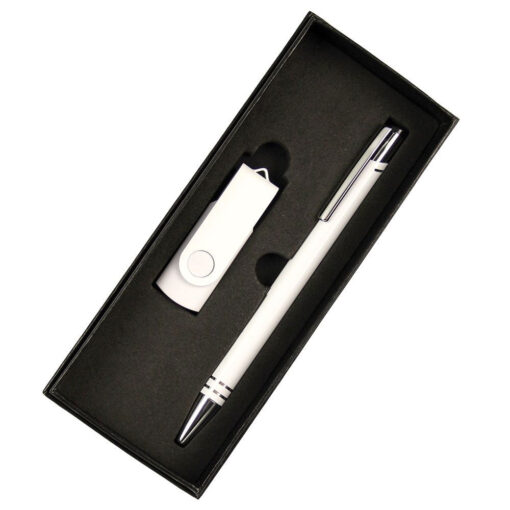 Personalise Gift Set - USB in 8G + Pen with Logo | Eco Gifts