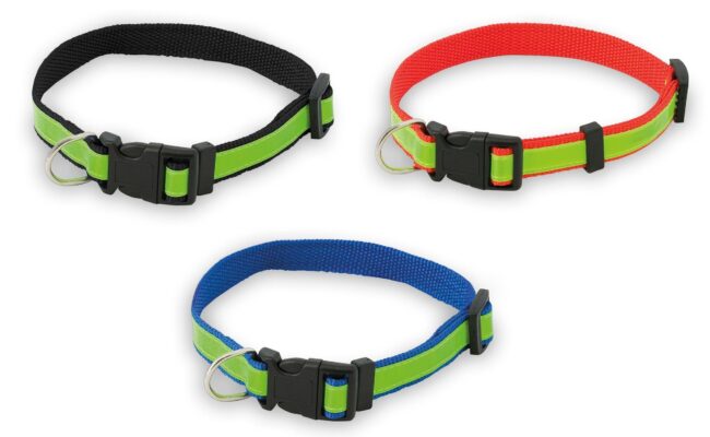 Custom Pet Collar Muttley with Logo