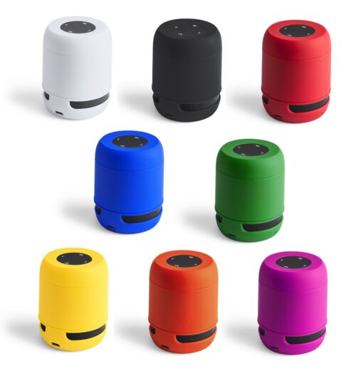 Custom Speaker Braiss with Logo