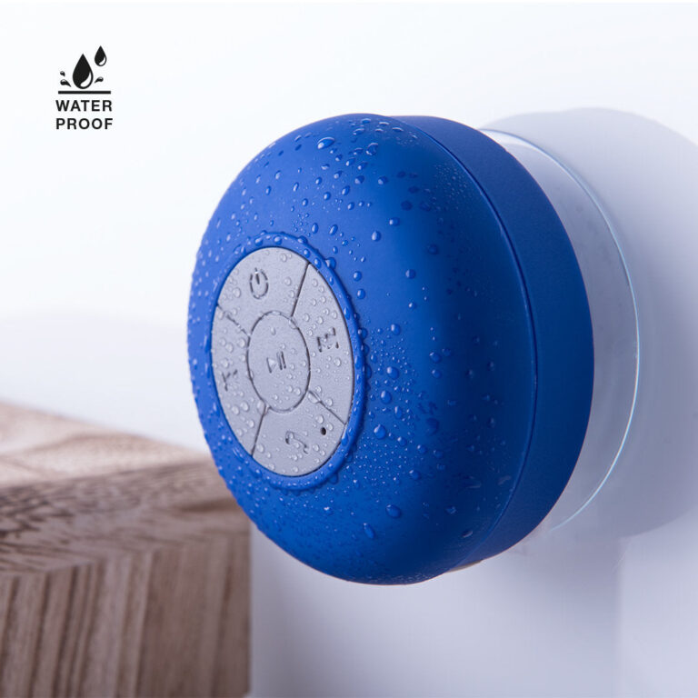 Custom Speaker Rariax with Logo