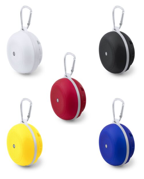 Custom Speaker Audric with Logo